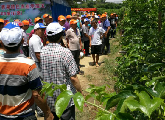 1513319295746850UXgR.png blob.png