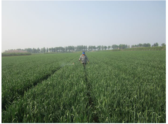 1513333758621623osJr.png blob.png