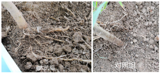 1515670060202194mjJw.png blob.png