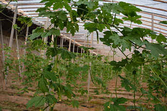 1539162024196619j2Is.png 圖片6.png