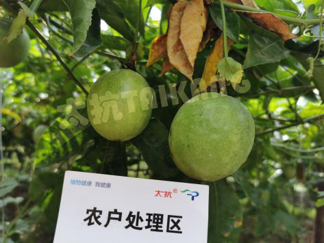 15765427864564532Vsz.png 圖片9.png