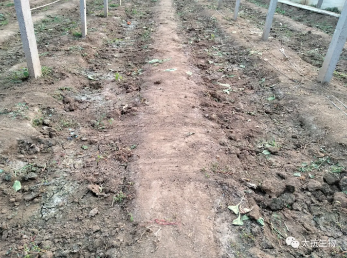 1638348278696761rWJ5.png 1.png